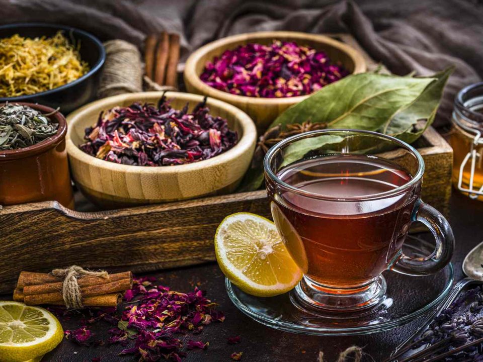 طبع گیاهان