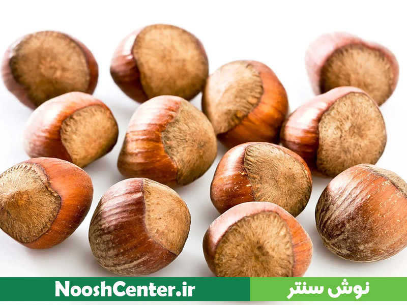 فندق